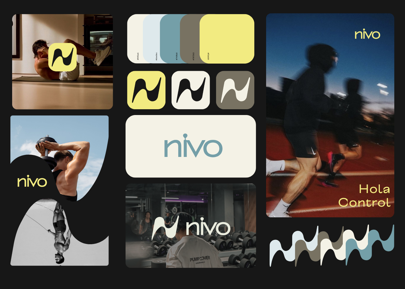 Overview of the Nivo project